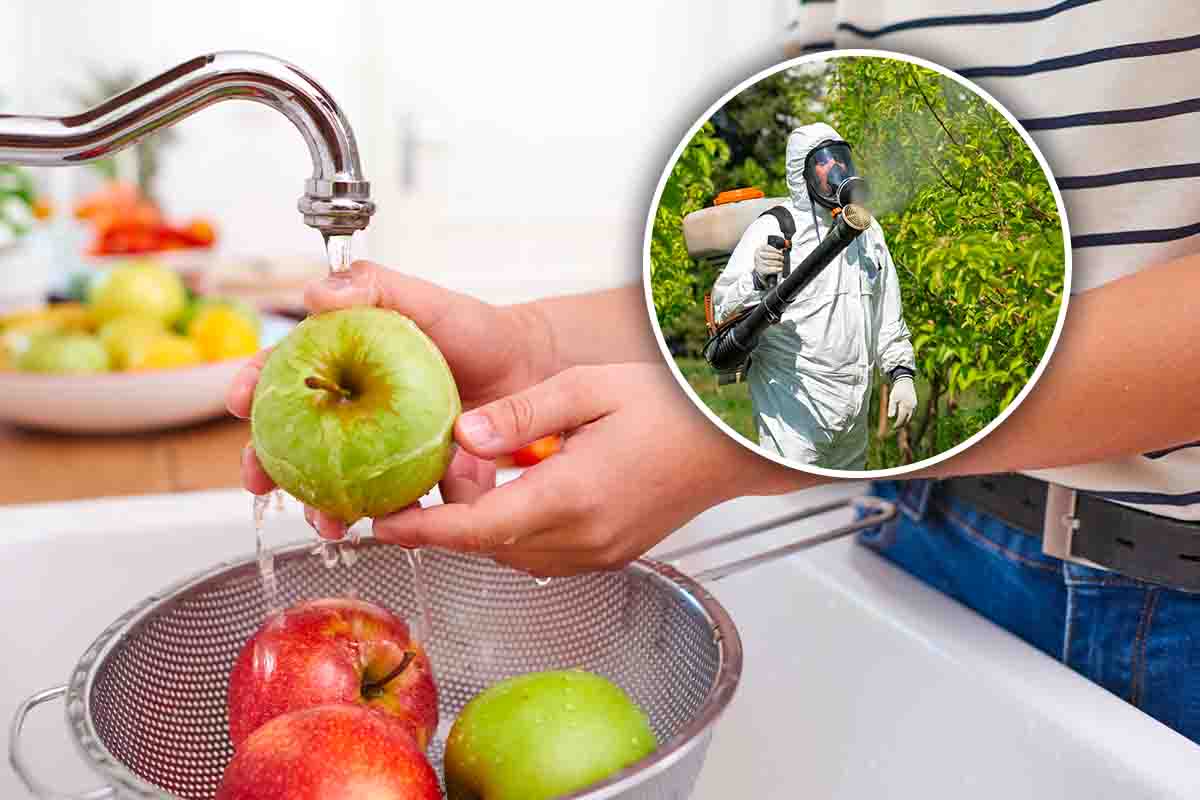 Come lavare e disinfettare frutta e verdura