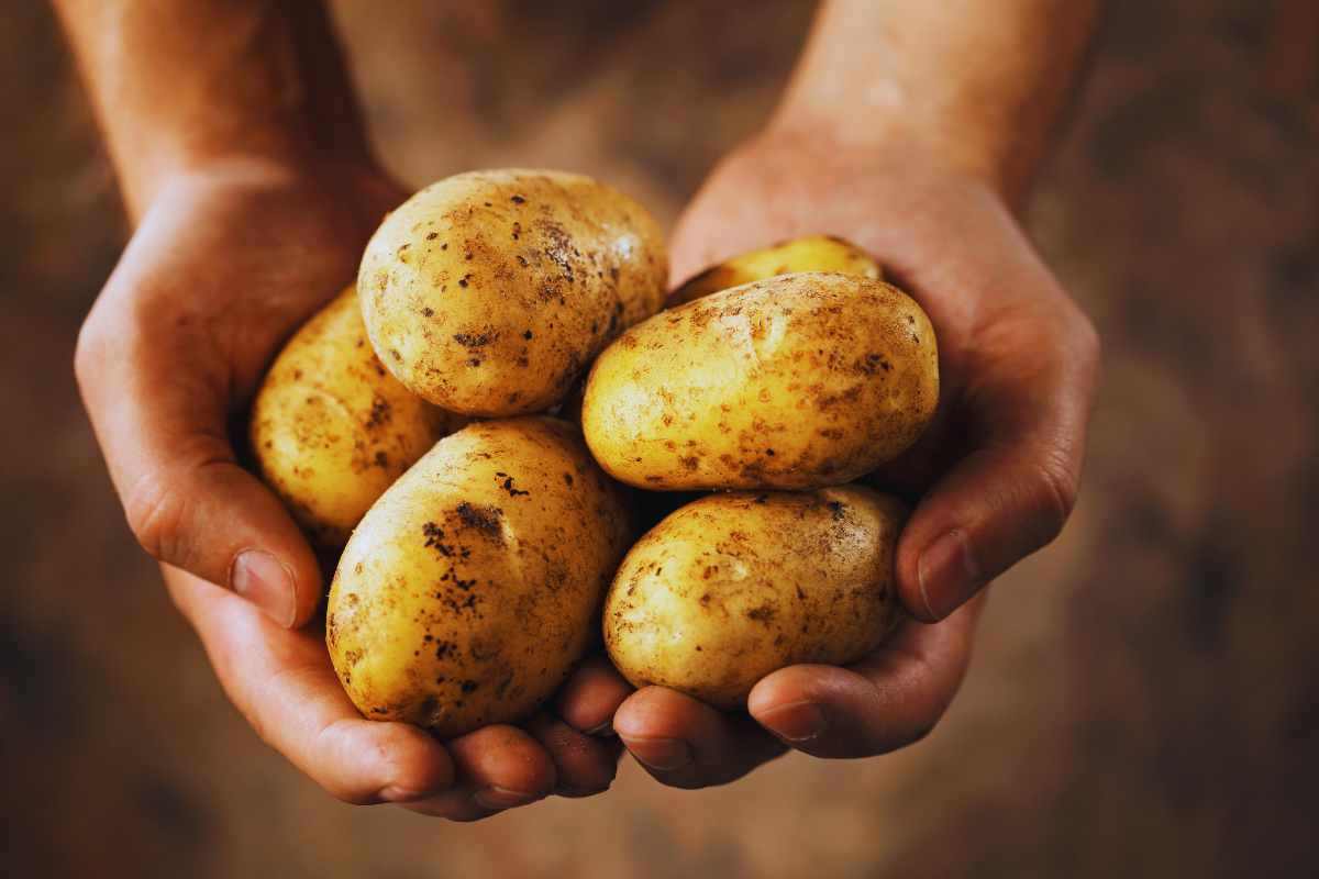 ricetta sfiziosa con le patate