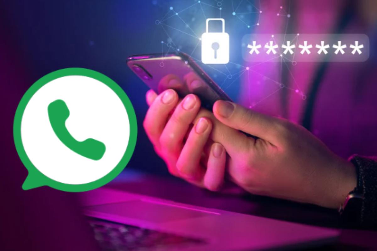 whatsapp nuova impostazione privacy