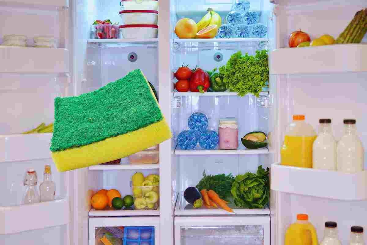 perchè mettere una spugnetta in frigo