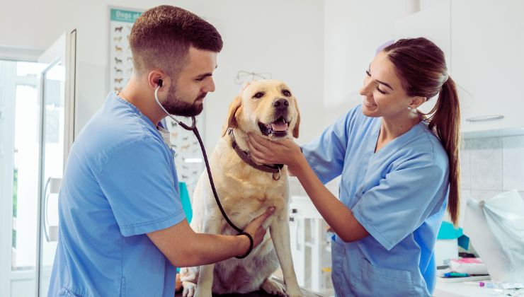 Con questo bonus visite e medicinali saranno coperti