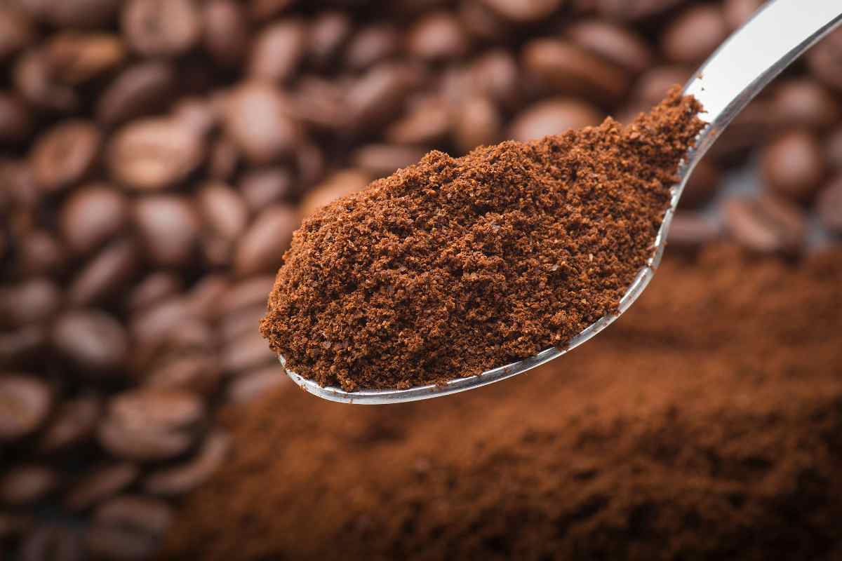 caffè supermercato quale scegliere