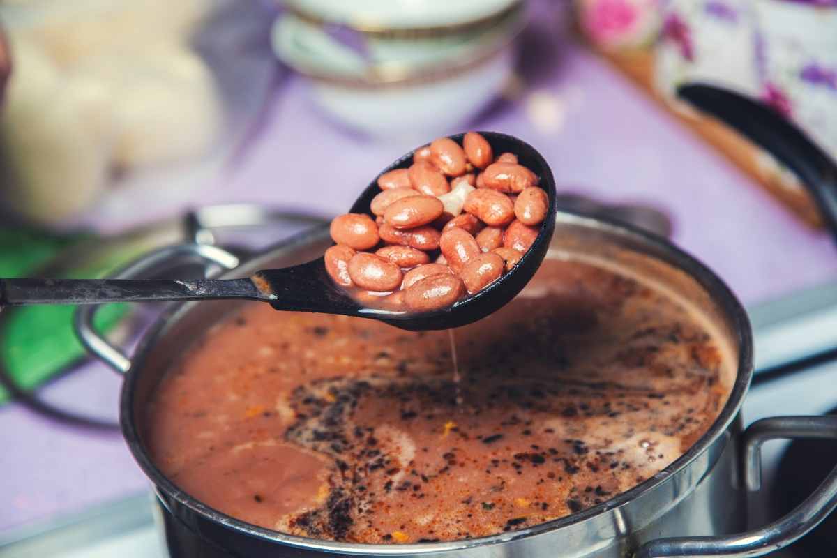 I fagioli sono la migliore alternativa vegetariana 