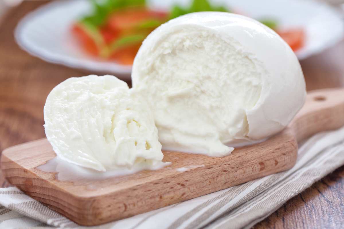 mozzarella discount di alta qualità