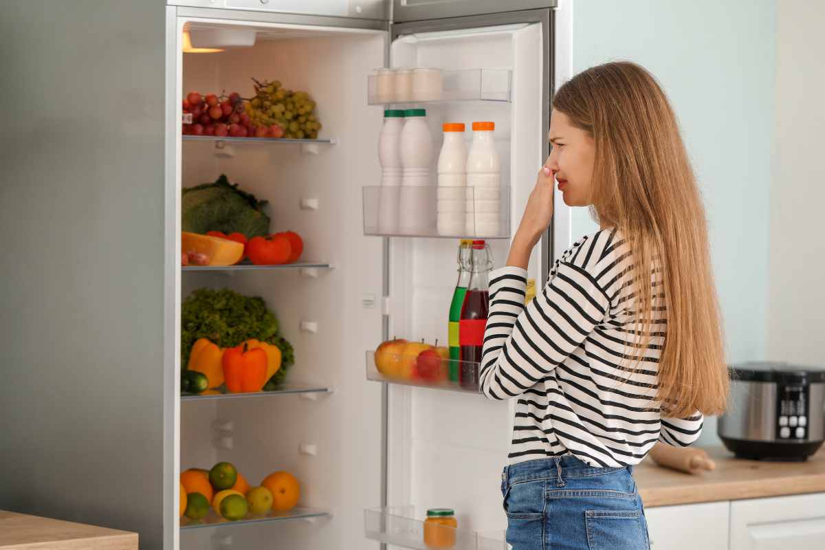 addio puzza frigo con trucco alluminio