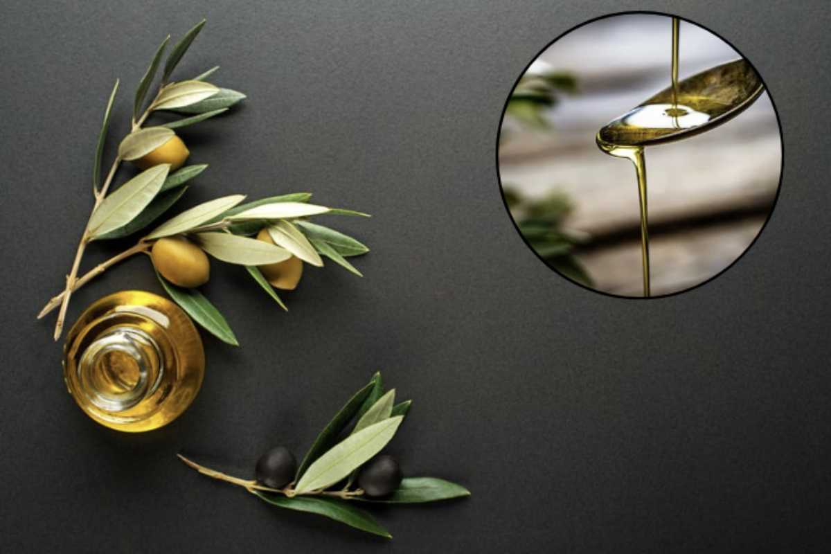 L’olio extravergine d’oliva è un alimento fondamentale della dieta mediterranea