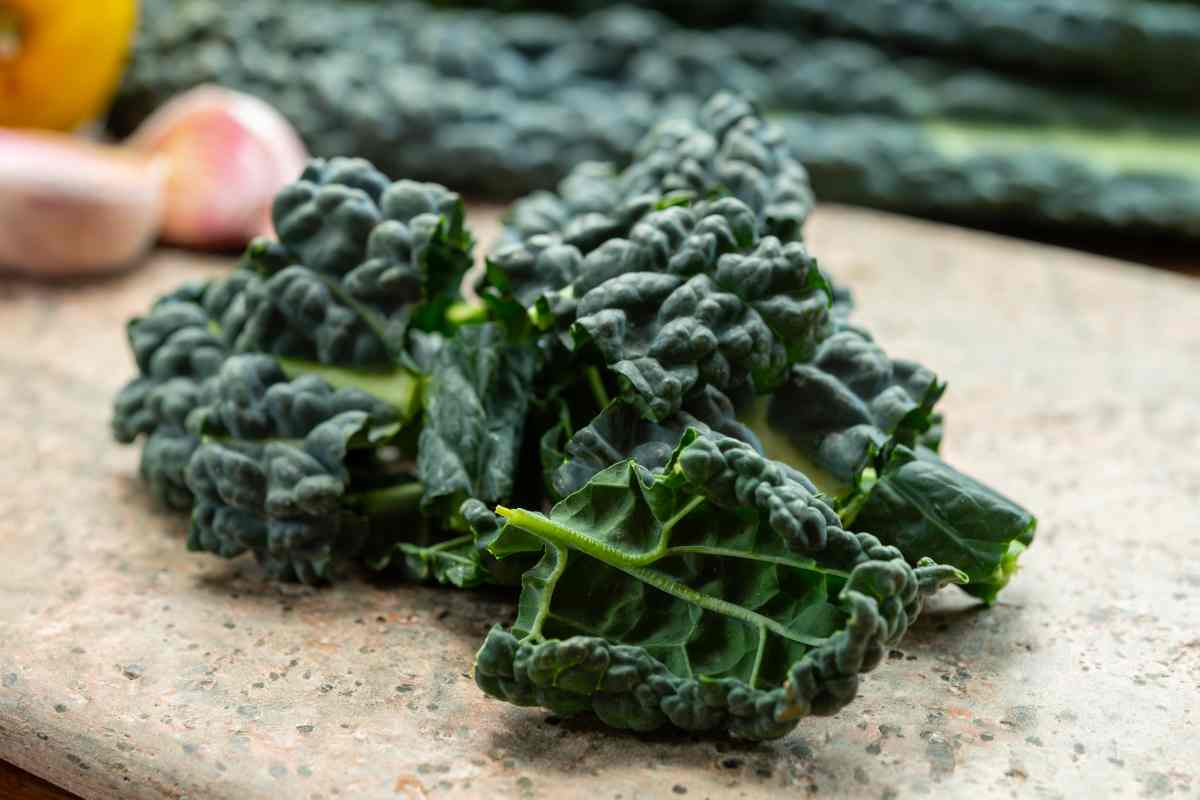 fusilli con cavolo nero ricetta